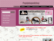 Tablet Screenshot of papiphapekitoy.com
